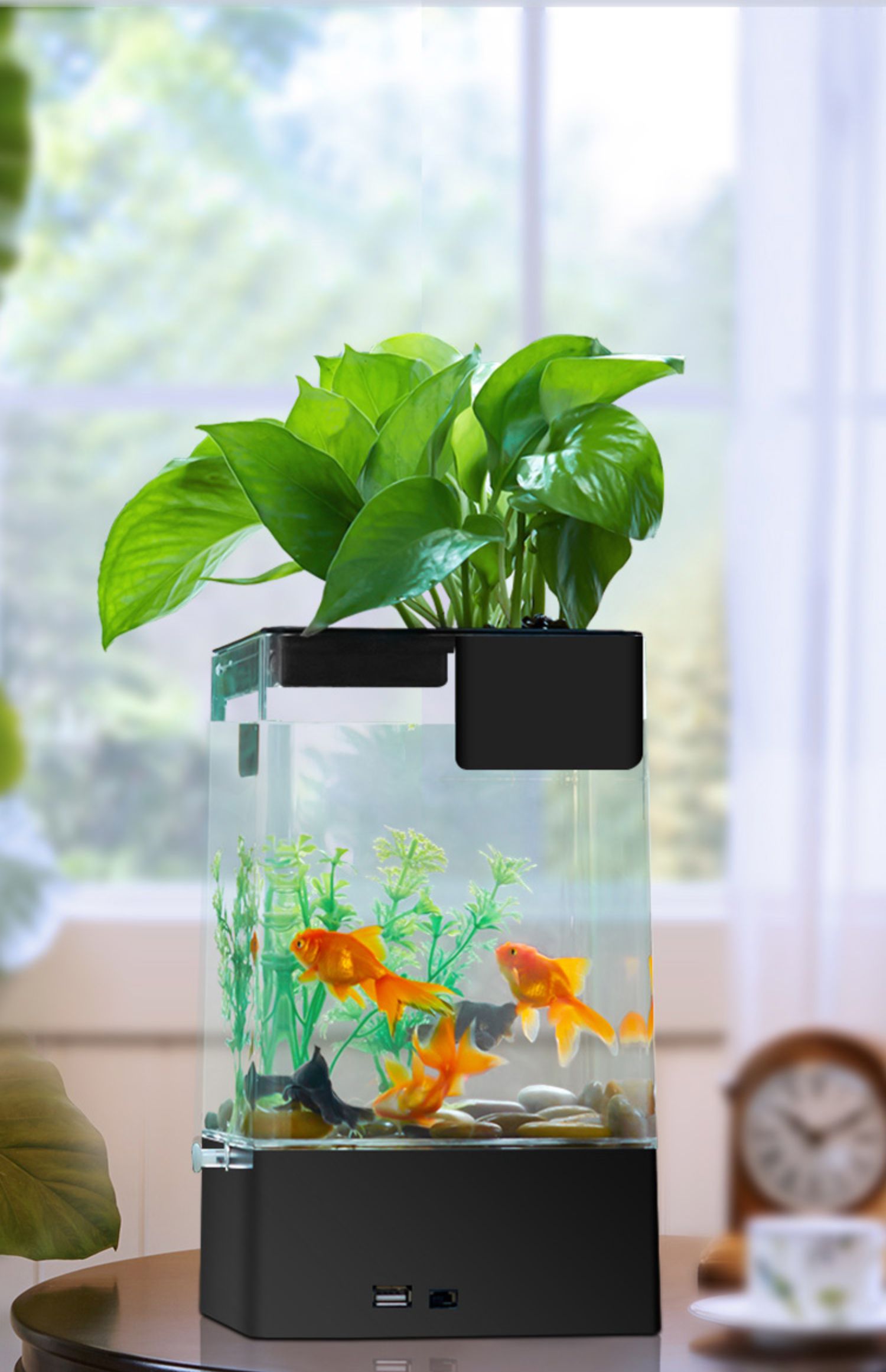 缸免专用泰国斗鱼微生态懒人植物亚克力水培景观一体换水创意鱼缸