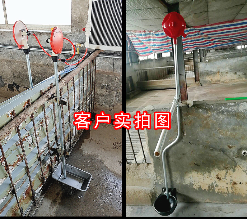 猪用自动饮水器水位控制器牛猪用水位器猪用节水器养殖用自动饮水