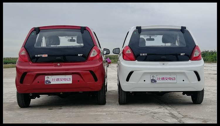 比德文电动汽车成人四轮车家用新能源油电女性接送孩子代步电轿车