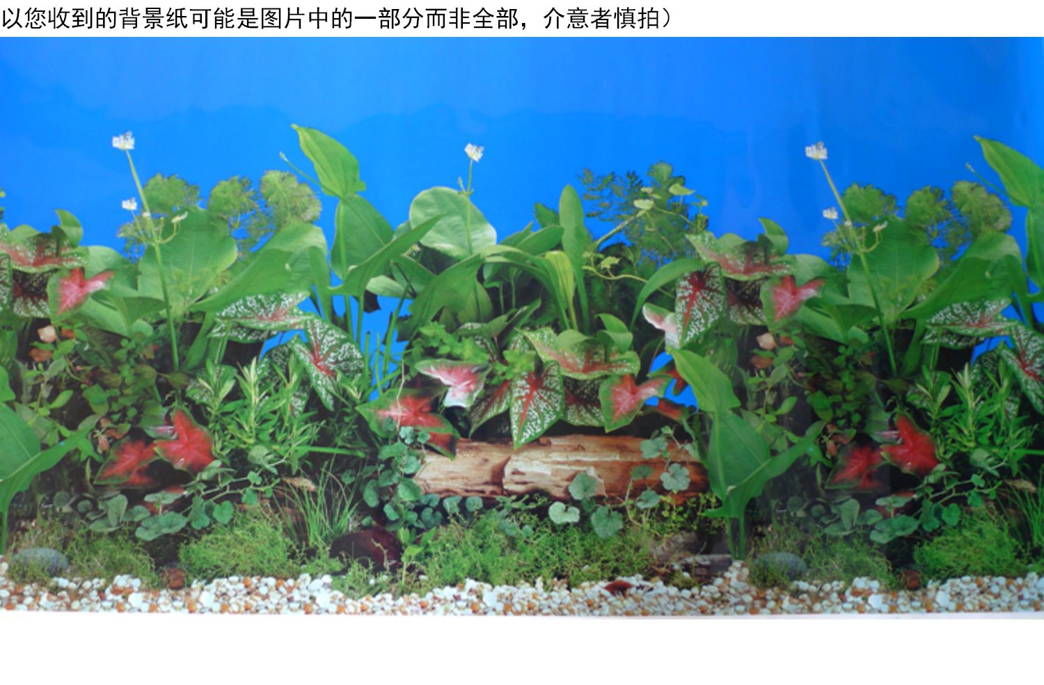 鱼缸背景纸背景画高清图3d立体鱼缸贴纸壁纸双面水族箱造景装饰画