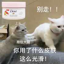 German DOVE Dove Body Scrub Nut Exfoliating Pomegranate plus Shea Butter Moisturizing 225ml