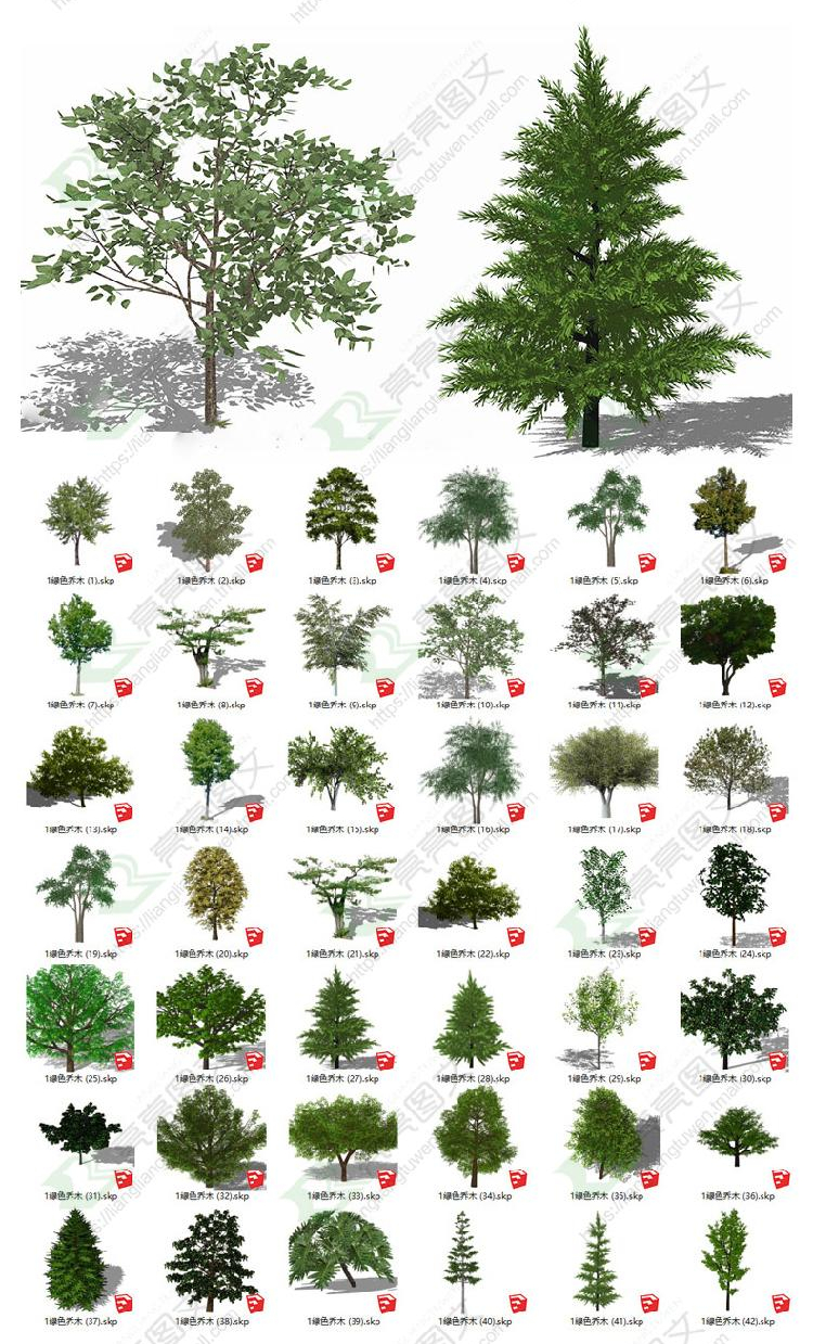 草图大师模型su园林景观植物花草树木乔木花卉灌木sketchup素材库