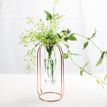 Nordic ins gold wrought iron transparent glass vase living room dried flower arrangement decoration desktop floral decoration