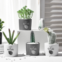 Nordic ins creative simulation cactus potted living room indoor desktop ornaments fake flower green plant decoration