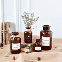 Nordic decoration retro small brown bottle literary ins wind transparent brown dining table dried flowers flower arrangement glass hydroponic vase