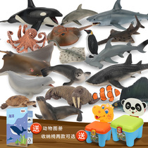 Marine animal toy set simulation model Shark sea lion Walrus seal Dolphin whale Penguin Underwater world