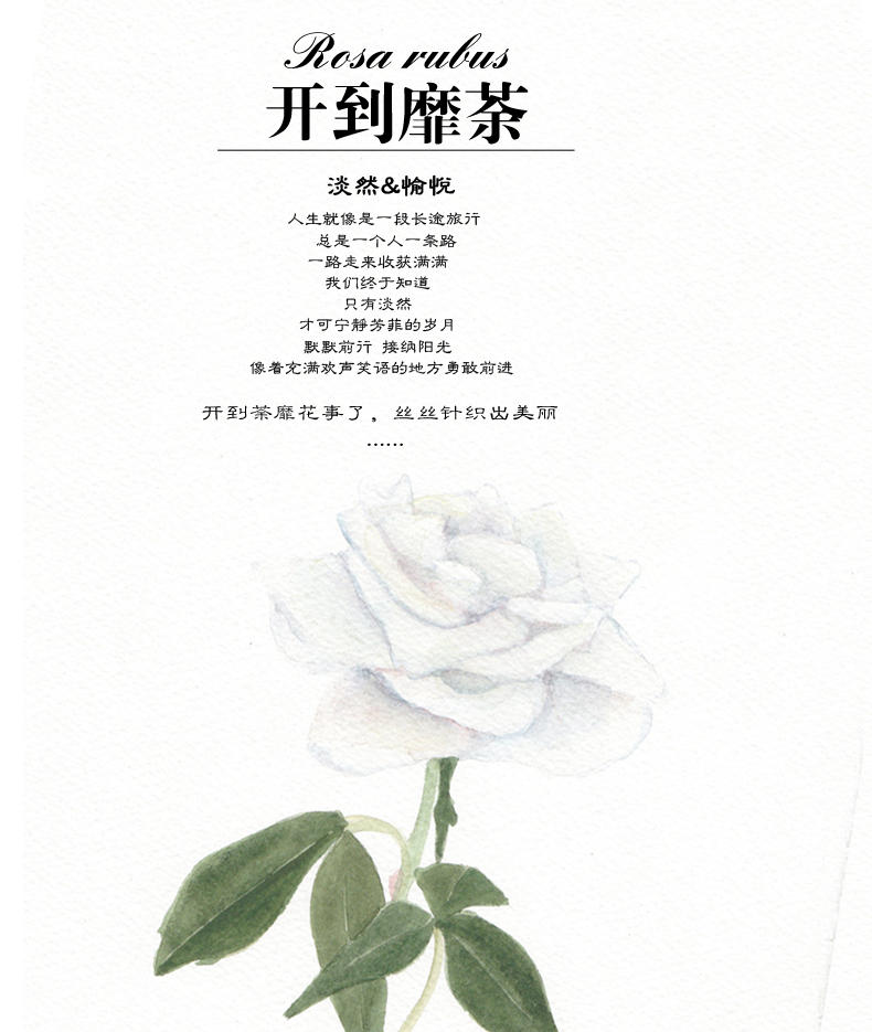 lv腰帶花紋裡的字母 城裡花2020春裝新款韓版女休閑百搭修身顯瘦純色套頭針織吊帶背心 lv腰帶包