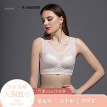 Daxie underwear womens big breasts show small upper collection of auxiliary milk anti-sagging chest full cup large size bra without steel ring