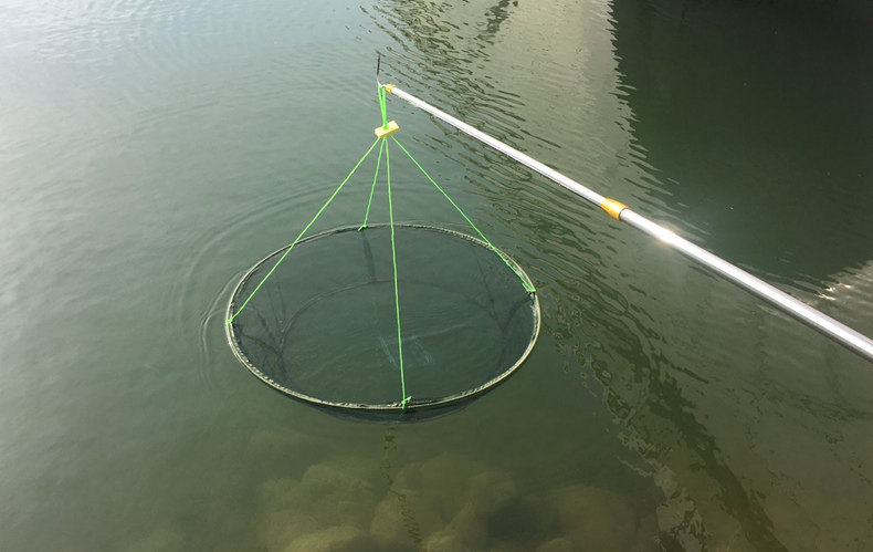 渔网新型开放式折叠抬网捕鱼笼虾笼捕虾网搬网捕渔虾鱼网捕鱼工具_7折