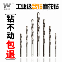 Yonghe High Speed Steel Drill Iron Drill Straight Shank Stainless Steel Cobalt Containing Hemp Drill Bit 1-10mm Carbide Turn