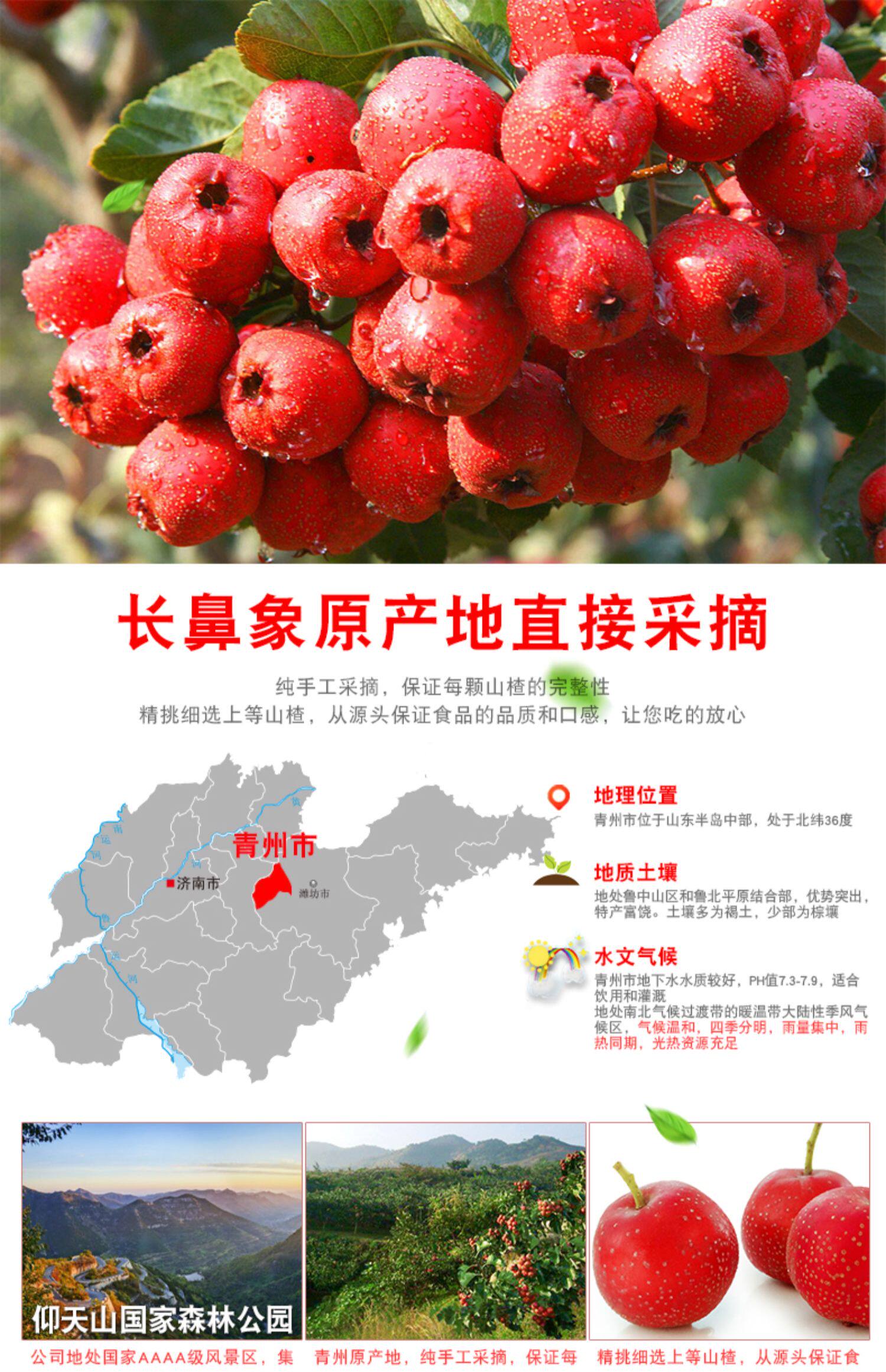 长鼻象564g山楂汉堡山楂条山楂蜜饯果脯情侣零食