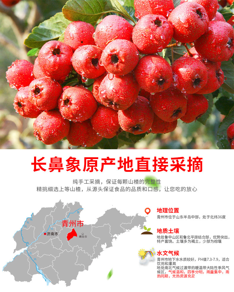 长鼻象山楂零食三袋随机组合山东特产零食小吃蜜饯_淘券猫