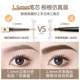 여성을위한 Rozo Small Gold Diamond Eybrow Pencil Waterproof and Sweat-Proof Natural and Longasting, No Deolorization 및 초보자 및 학생을위한 훌륭한 공식 정통 제품 여성을위한 Rozo Small Gold Diamond Eybrow Pencil Waterproof and Sweat-Proof Natural and Longasting, No Deolorization 및 초보자 및 학생을위한 훌륭한 공식 정통 제품