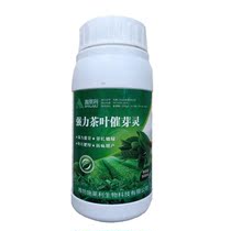 Tea Tree special nutrition comprehensive rooting agent progerin buds many tender long and hypertrophic Brassin 920 fertilizer