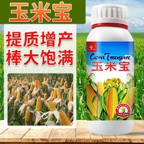 Imported corn foliar fertilizer seeds are full and resistant to disease resistance. Thousand-grain weight.