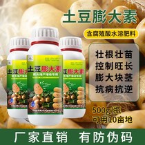 Potato special expansion agent increases production and income high yield disease resistance drought resistance swelling tubers potato foliar fertilizer
