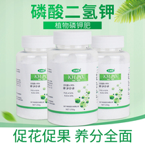 Dalin male potassium dihydrogen phosphate flower fertilizer phosphate potash fertilizer household flower potted universal foliar fertilizer to promote fruit