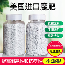 United States imported long-term magic fertilizer long-term slow-release fertilizer convenient safety large and medium-size clematis Rose