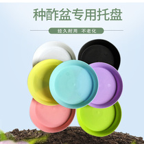 Dalin male seed pot special tray sorrel basin matching tray