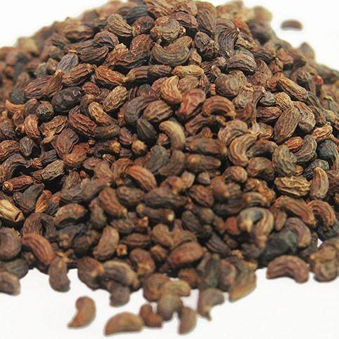 女贞子6斤包邮 女贞实 冬青子 鼠梓子 中药材供应 500克4.5元