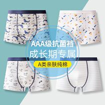 Medium and large childrens underwear Boys four corners children 10 cotton flat corners 12 Shorts 13 boys 14 students 15 years of age or older