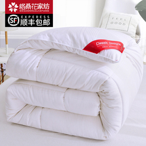 Soybean fiber quilt 10 pounds quilt winter quilt thickened warm winter quilt core quilt Space silk quilt winter