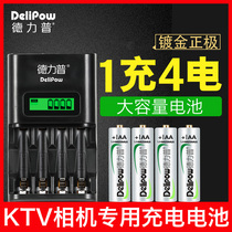 Delip 5 rechargeable battery charger suit 3000 mAh 5 KTV mic microphone nickel-hydrogen battery