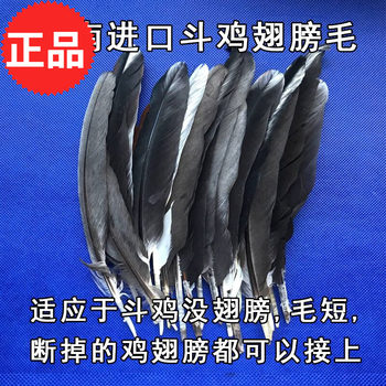 Gamecocks Gamecock Feathers Gamecock Wing Feathers Gamecock Feather Gun Gamecock Wings Gamecock Training Supplies