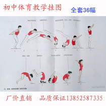 Middle School physical education teaching wall chart A full set of 36 teaching materials teaching equipment
