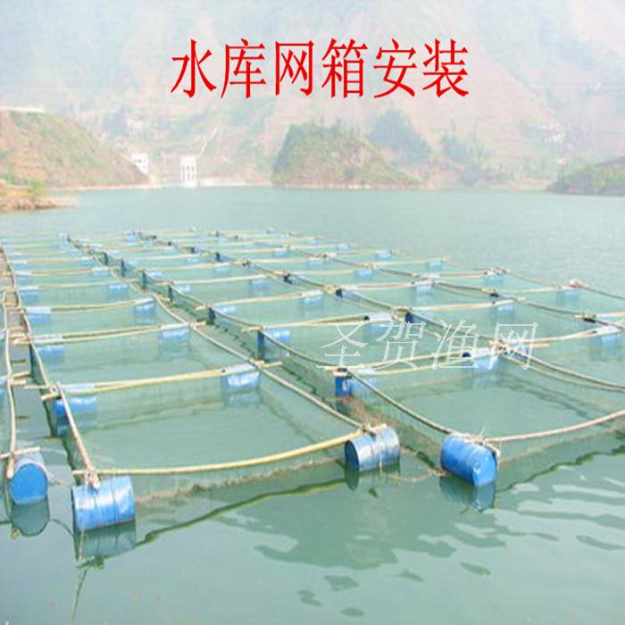 40目网箱网片 泥鳅养殖网箱 黄鳝网箱 养鱼网箱定做 养殖网箱