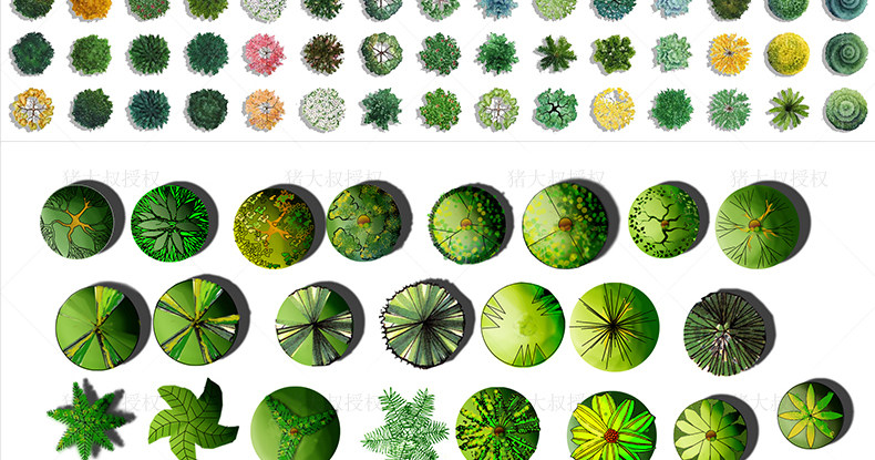 园林景观彩平图psd素材植物手绘辅装ps后期立面平面图设计效果图
