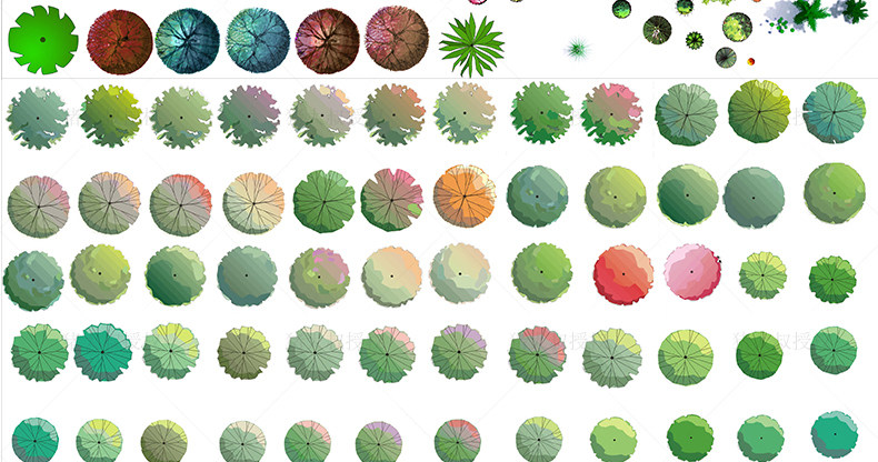 园林景观彩平图psd素材植物手绘辅装ps后期立面平面图设计效果图