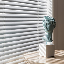 Custom-made multi-color aluminum alloy PVC plastic Louver waterproof and anti-fouling S-type Louver adjustable blackout curtain