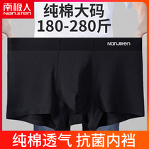 Antarctic men's underwear men's flat horns pure cotton big yard fat guy 200 pounds fattening and loose quadruples