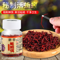 Fishing bait real earthworm soaked wild fishing all-purpose bait to kill crucian carp carp white strips for spring summer autumn and winter