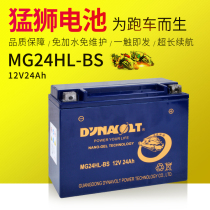 Lions MG24HL-BS Motorcycle Battery Locomotive 12V24 Amcolloids Maintenance-free Dry Cell Large Displacement