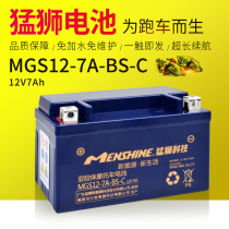 Original Loaded Lion 12V7 An exemption from maintenance 125 haute coul pedal motorcycle female loading lead-acid dry accumulator ghost fire