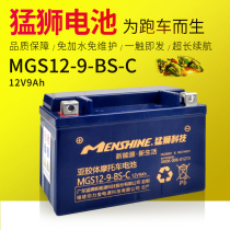 Applicable luxury Suzuki GW250 Moto free of maintenance colloidal battery 12V9 An electric storage bottle bend lover