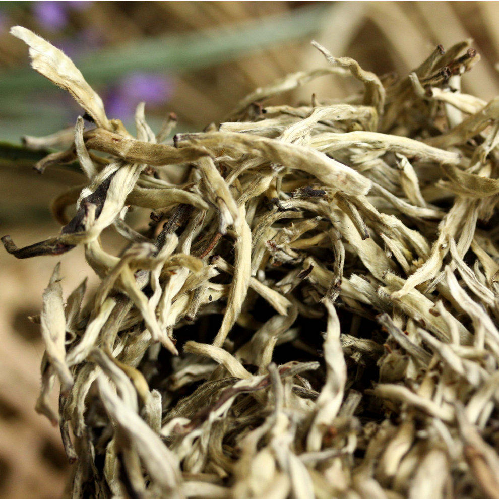 普洱茶 生茶普洱茶古树茶银芽贡沱500克纯料普洱生茶