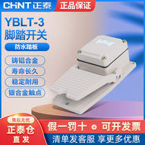 Zhengtai Foot Pedal 220V Stamping Lathe Machine Waterproof Foot Pedal Pedal YBLT-3