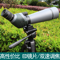 Holy Way Bird Watching Mirror 20-60x60 20-60x80ed High HD Waterproof Two-Speed Focusing Monoculars