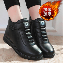 Mothers shoes winter cotton-padded shoes plus velvet warm anti-slip middle-aged womens shoes flat elderly soft boots middle-aged leather shoes