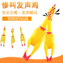 Little dog toy molars bite-resistant voice tip screaming chicken trembles with April Fools Day funny toy ball big dog
