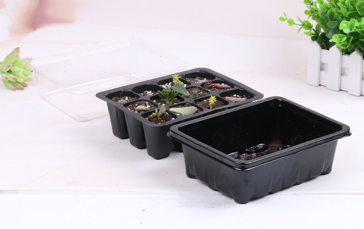 种子12孔育苗盒带盖三件套多肉闷养箱育苗盘穴盘播种育苗箱保温箱_7折