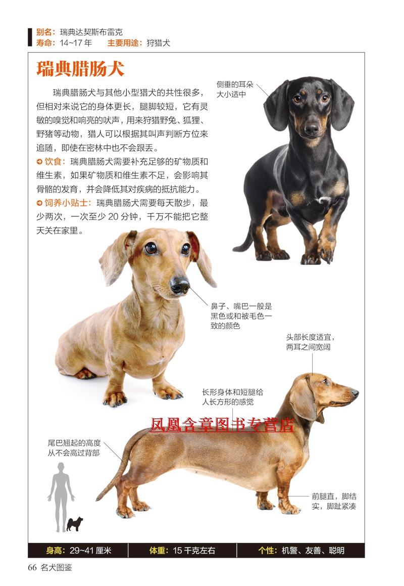 名犬图鉴 :167种“人气宠物犬”的特征与性 331种世界