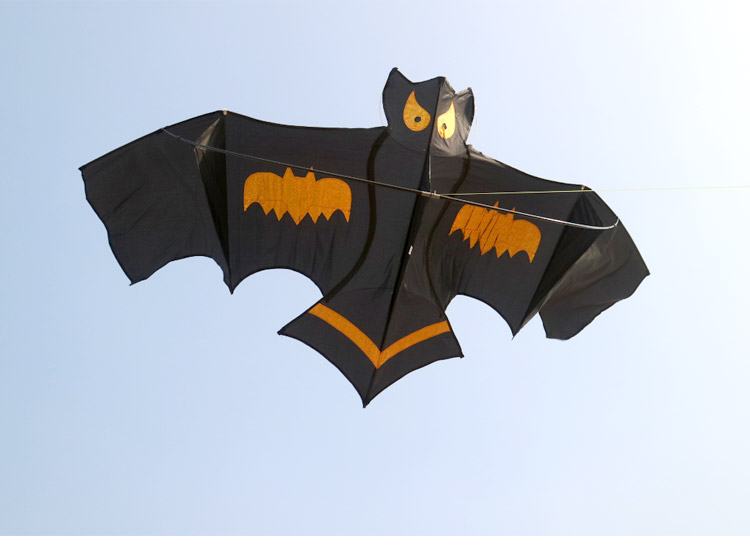 前撑杆蝙蝠风筝潍坊成人儿童大型立体微风好飞新款镀金1.9米正品