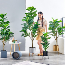 Nordic simulation green plant bonsai ornaments fake flower ins green plant large indoor tree potted creative piano leaf Banyan