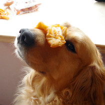 Drying whole cow ear snacks Air-dried cow ear dog snacks Molar teeth cleaning Teeth Gnawing No added greedy dogs