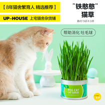 Shangzhai ▲Peg Kitten Tiehanhan Cat Grassy to vomit hair balls natural seeds self-planting pot box set