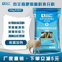 Meat sheep fattening period concentrate supplement
